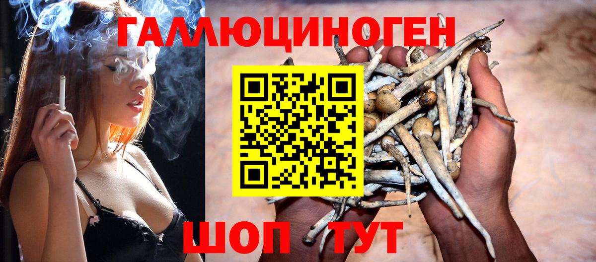Галлюциногенные грибы Psilocybine cubensis Мариинск